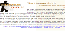 Tablet Screenshot of humanspirit.ccws.org